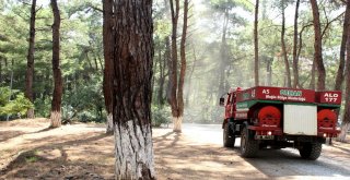 Gözler Ormanda, Ekipler Alarmda