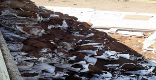 Sahte Para Basım Matbaasına Operasyon