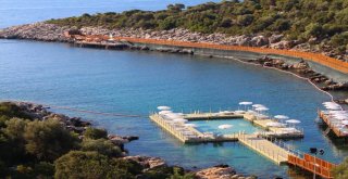 Binlerce Kadını Ağırlayan Plaj Rekor Kırıyor