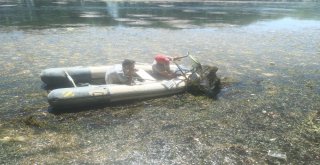 Kızılırmaktan Çıkanlar Şaşırttı