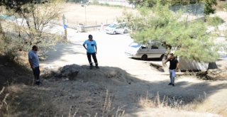 Vicdansızlar Kedinin Dört Bacağını Da Kesti