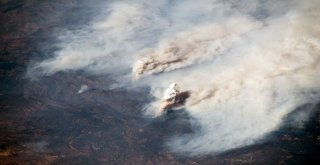 Californiada Tarihinin En Büyük Yangın Felaketi Yaşanıyor