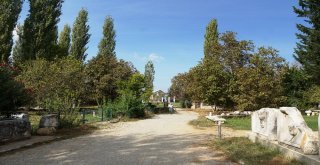 Afrodisias Sonbaharın Tonları İle Renklendi