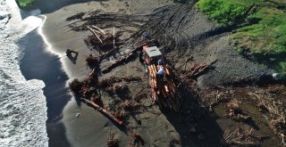 Ordu Sahili Kızıla Büründü