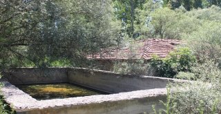 (Özel) Osmanlı Mirası Tarihi Hamam Kaderine Terk Edildi