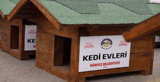 Körfezde Sokak Hayvanları Unutulmadı