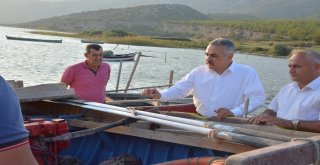 Kit Başkanı Savaş, Dalyandaki Tonoz Projesini İnceledi