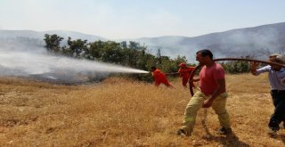 Bingölde 4 Gündür Süren Yangın Kontrol Altına Alındı