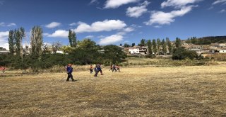 200 Kişilik Ekip Her Yerde Sedanuru Arıyor
