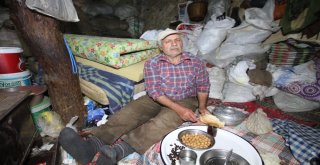 Çöp Evde Yaşayan Yaşı Adam Yardım Bekliyor