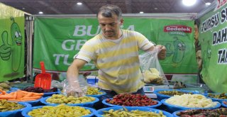Gaziantep Kültürü Kocaeliye Taşındı