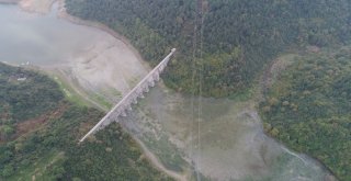 Sultangazi Mimar Sinan Şehir Ormanında  Cemal Kaşıkçının İzi Arandı