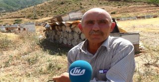 Siirtli Arıcıların Bitlis Dağlarındaki Bal Sağımı Sürüyor