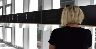 4. Bağ Bozumu Ve Ekoloji Festivalinde Karma Tasarım Sergisi Açıldı