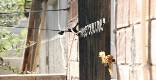 Elektrikleri Kesilen Naile Buharsız Kaldı