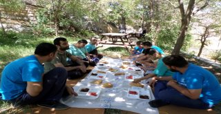 Adıyaman Belediyesi Engelsiz Yaşam Merkezinden Kültürel Gezi