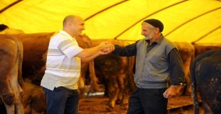 Başkentliler Yakacıkta Pazarlığa Tutuştu