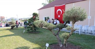 Türkiyenin İlk Nilüfer Üretim Merkezi Açıldı