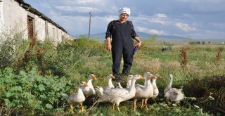 Hayallerini Toprağa Gömdü