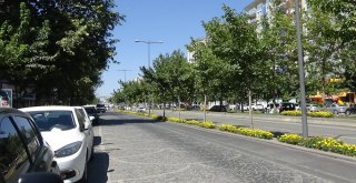 Batmanda İlginç İmza Kampanyası