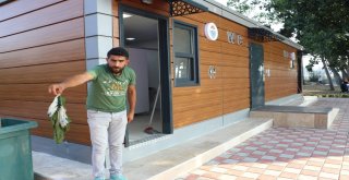 193 Bin Tllik Tuvalet 2 Gün Dayandı