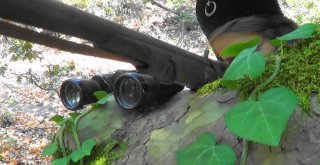 Çok Sevdiği Makbule Efenin Klibinde Oynadı