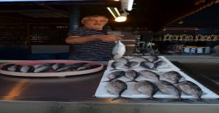 Karadenizli Balıkçılara Hava Engeli