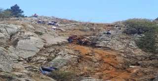 Pikniğe Gittiler, 10 Gün Önce Firar Eden Kurbanlıklarını Buldular