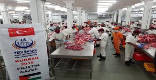 Yedi Başaktan ‘Kalpten Kalbe İyilik Projesi