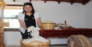 İpek Dokumacılığı Koza Evinde Yaşatılıyor