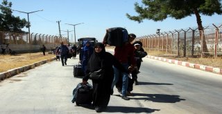Suriyelilerin Türkiyeye Dönüşü Başladı