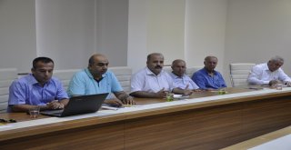 Turunçgillerde Akdeniz Meyve Sineğiyle Etkin Mücadele