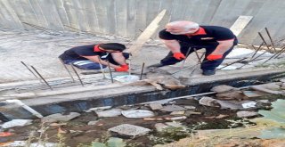 Yavru Köpeği İtfaiye Ekipleri Kurtardı
