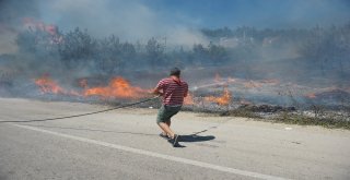 (Özel Haber) Bursada Lüks Villaların Yanında Küle Dönen Ciğerleri Yeniden Yeşeriyor