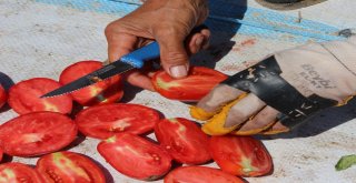 İzmir Ovaları Kırmızıya Büründü