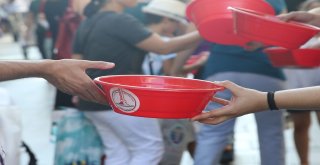 Sokak Hayvanları İçin ‘Yaz Seferberliği