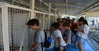 Yabancı Öğrencilerden Hayvan Barınağına Ziyaret
