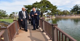 Ormancılardan Ortaköye Tam Not