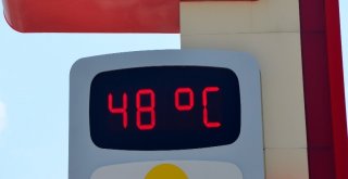 Adanada Termometreler 48 Dereceyi Gösterdi, Köpekler Göle Girdi