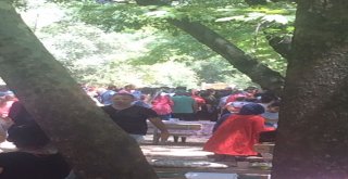 Sütçüler Yazılı Kanyonda Hamak Faciası: 1 Yaralı