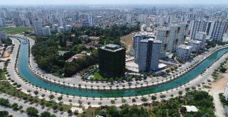 Dört Bir Yanı Sarmaşıklarla Kaplı Türkiyenin Tek Yeşil Apartmanı Adanada