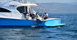 Ünlü İş Adamlarının Katıldığı Balık Turnuvasında 118 Kiloluk Orkinos Tutuldu