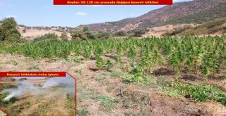 Diyarbakırda Teröre Ve Finans Kaynağına Bir Darbe Daha
