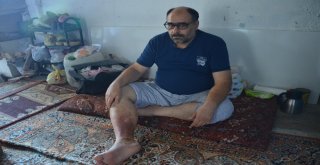 Sağlığına Kavuşması Hurdalara Bağlı