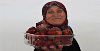 Bu Pazardaki Her Şeyi Kadınlar Üretti