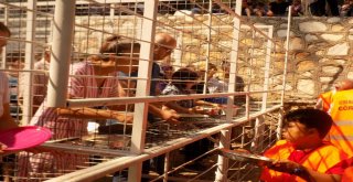 736. Dedebağ Keşkek Hayrı 20 Bin Kişinin Katılımıyla Yapıldı