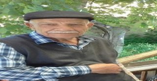Bilecikte Kaybolan Alzheimer Hastası Yaşlı Adam Mezarlıkta Bulundu