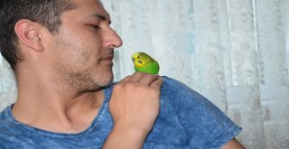 (Özel Haber) Çapkın, Başkanlık Sistemine Ayak Uydurdu