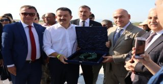 Bakan Pakdemirli Tarlaya İndi, Traktör Kullandı