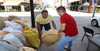 Orduda Fındık 12 Tlden İşlem Görüyor